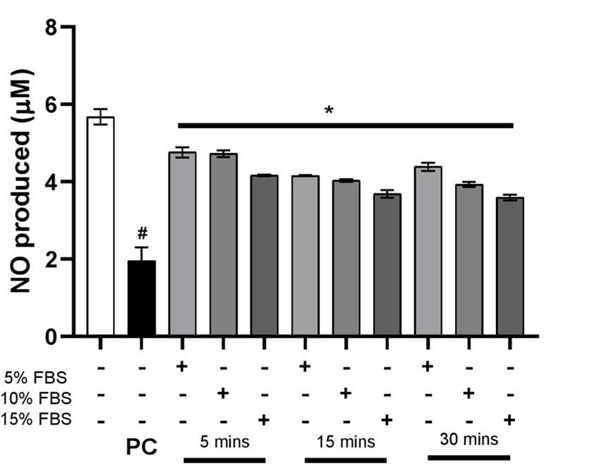 Effect of growth factors present in serum on insulin resistance and endothelial dysfunction in EA.hy926 cells