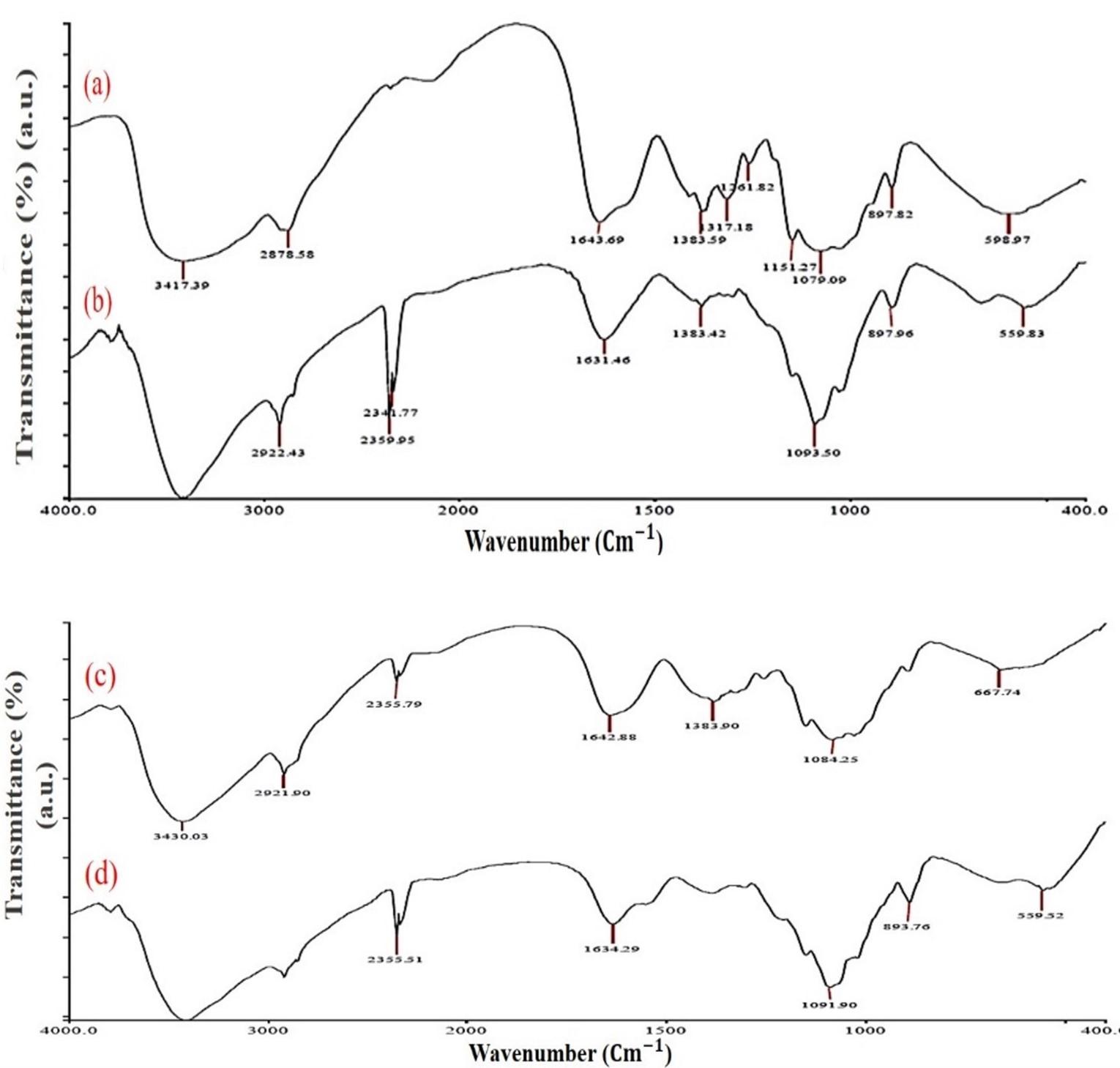 Extraction of Squilla (Harpiosquilla annandalei) shell derived chitosan and its nanocarrier efficiency for sustained protein delivery