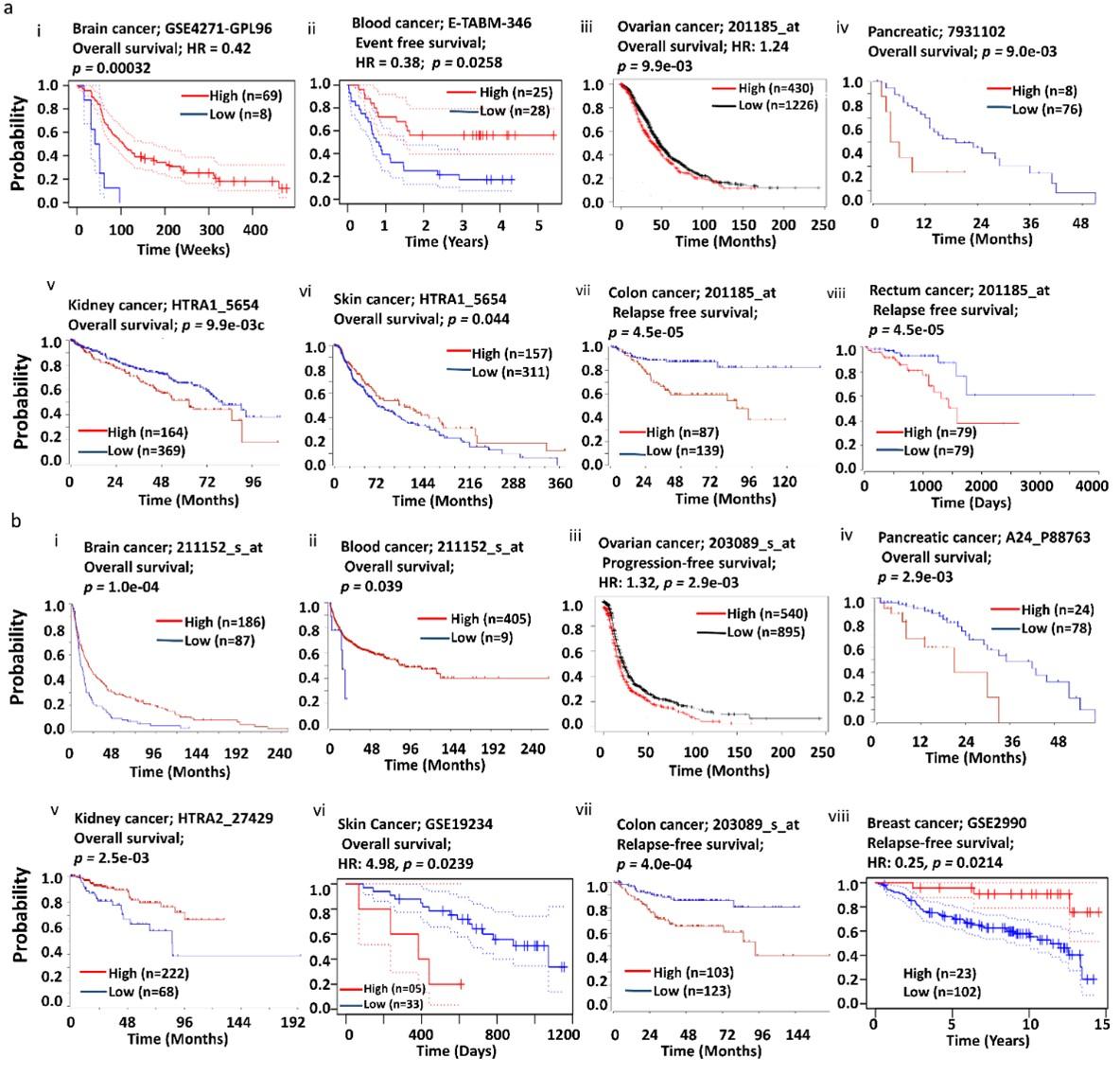 HTRA1 and HTRA2 expression differentially modulate the clinical prognosis of cancer: a multi-omics analysis using bioinformatics approaches