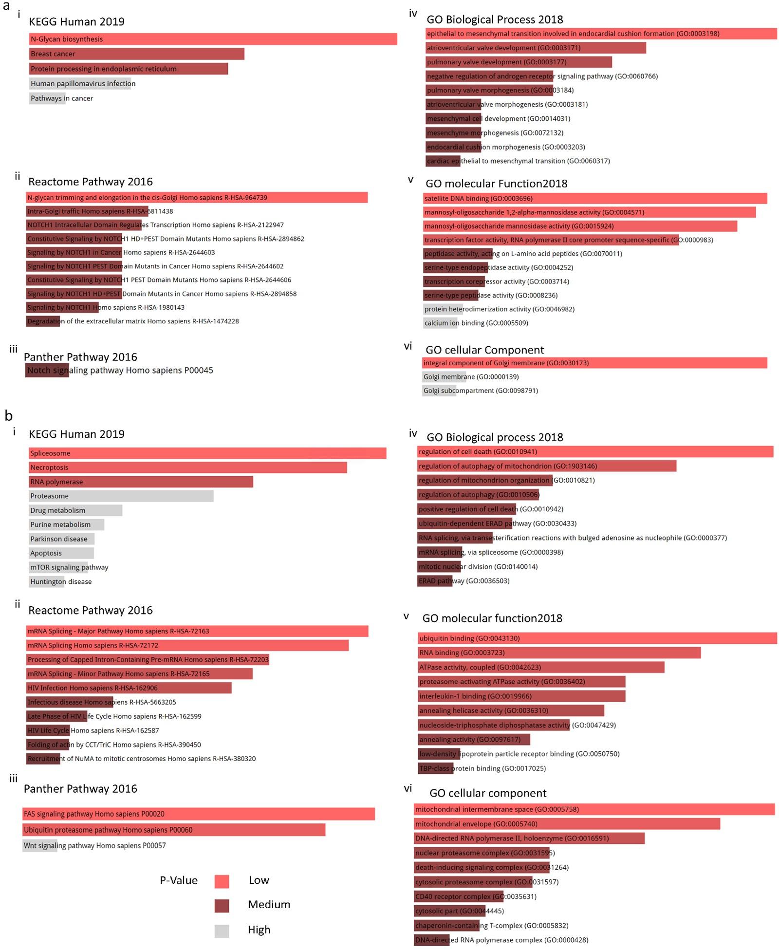 HTRA1 and HTRA2 expression differentially modulate the clinical prognosis of cancer: a multi-omics analysis using bioinformatics approaches