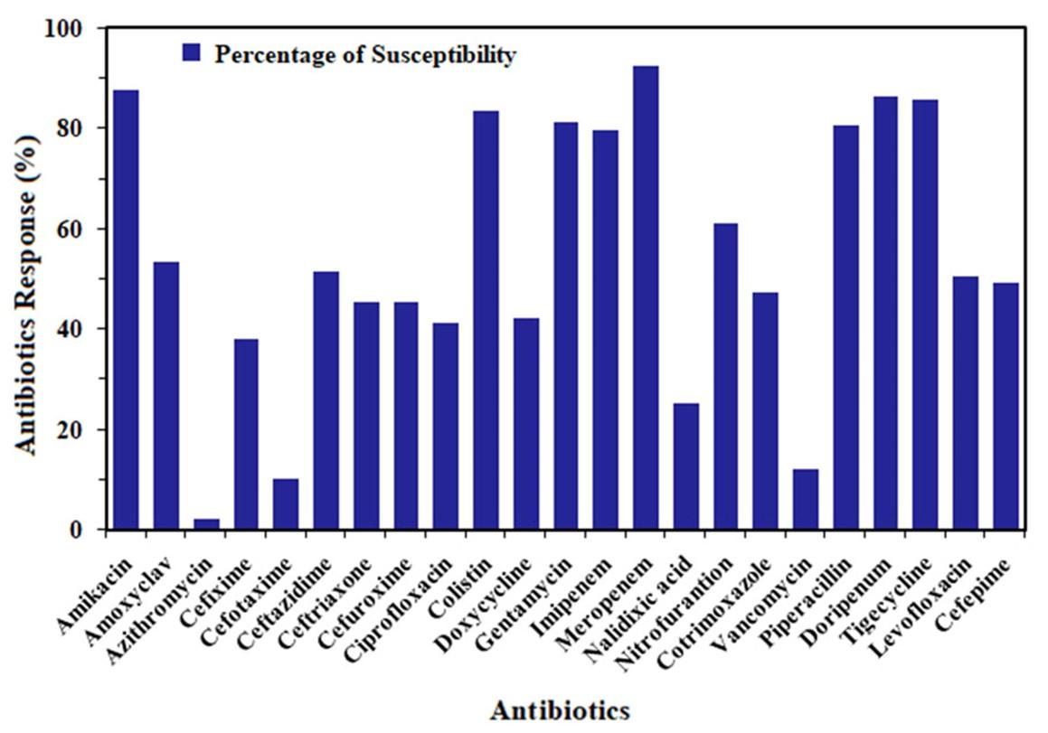 Antibiotic resistance pattern in the bacterial strains of urinary tract infection in Tangail city, Bangladesh