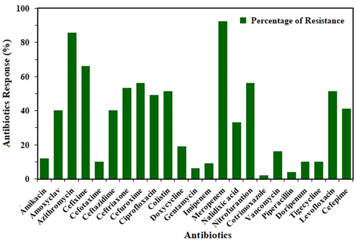 Antibiotic resistance pattern in the bacterial strains of urinary tract infection in Tangail city, Bangladesh