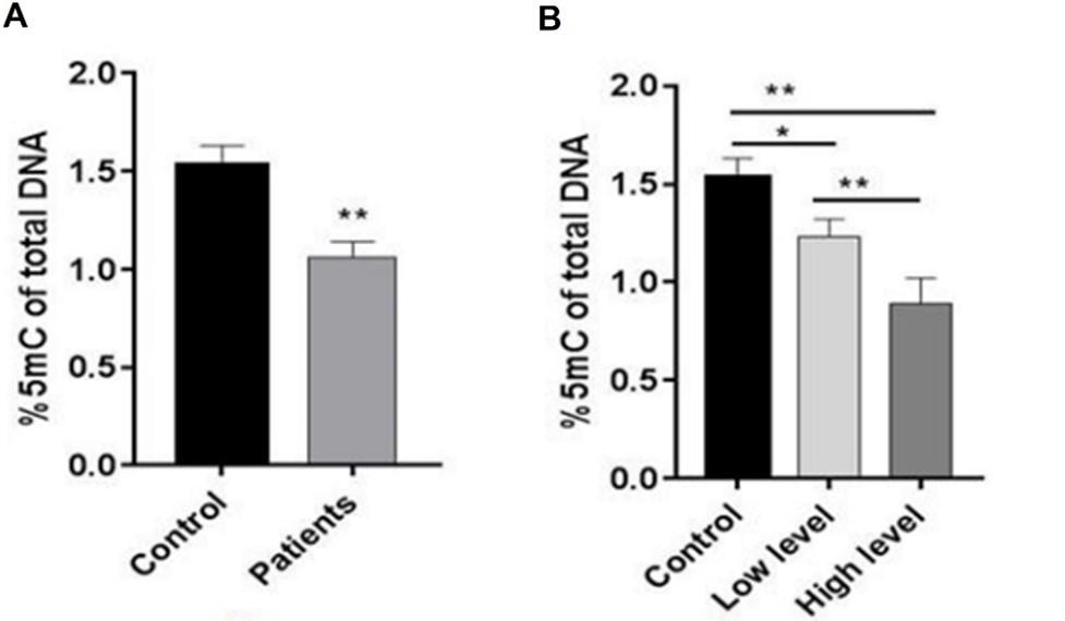 Evaluation of oxidative stress activity and the levels of homocysteine, vitamin B12, and DNA methylation among women with breast cancer