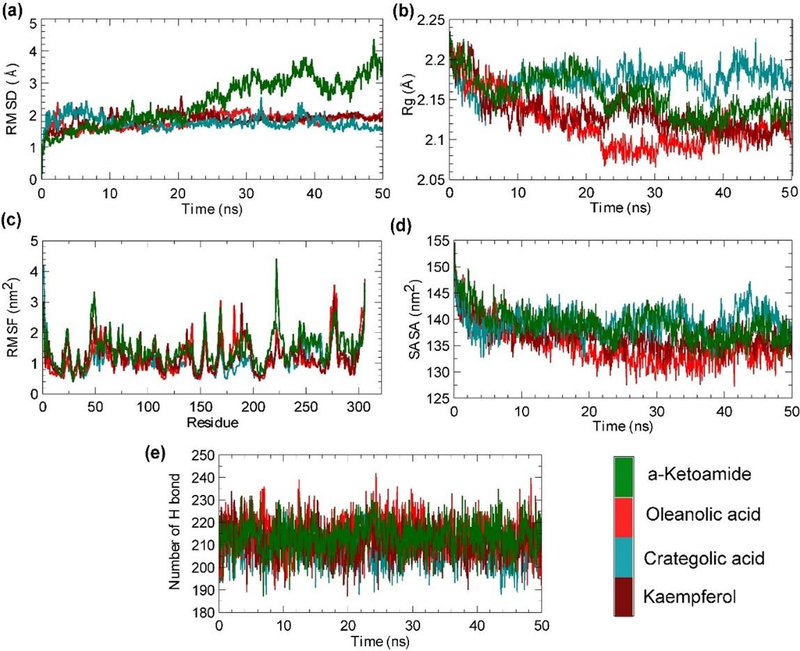 Syzygium aromaticum as a possible source of SARS-CoV-2 main protease inhibitors: Evidence from a computational investigation