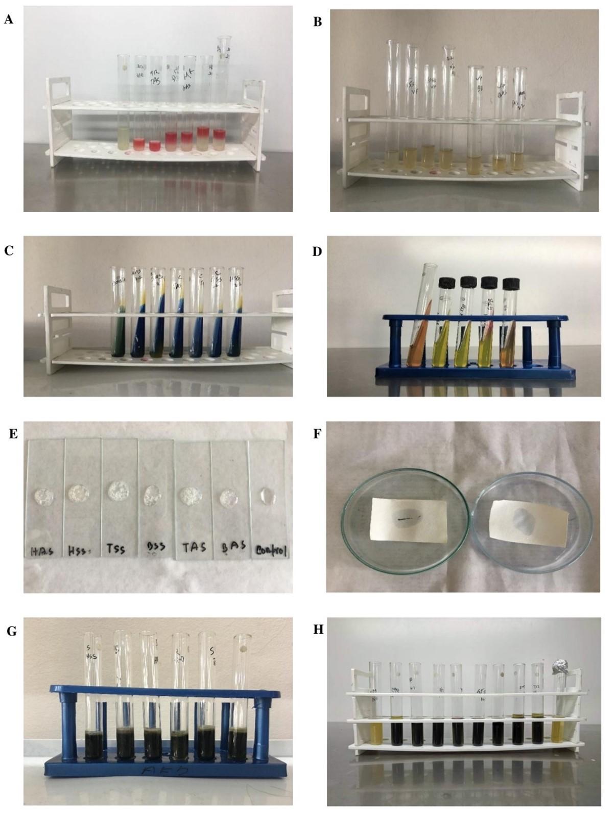 Phenotypic screening of extended-spectrum beta-lactamase producing Salmonella in retail shrimp