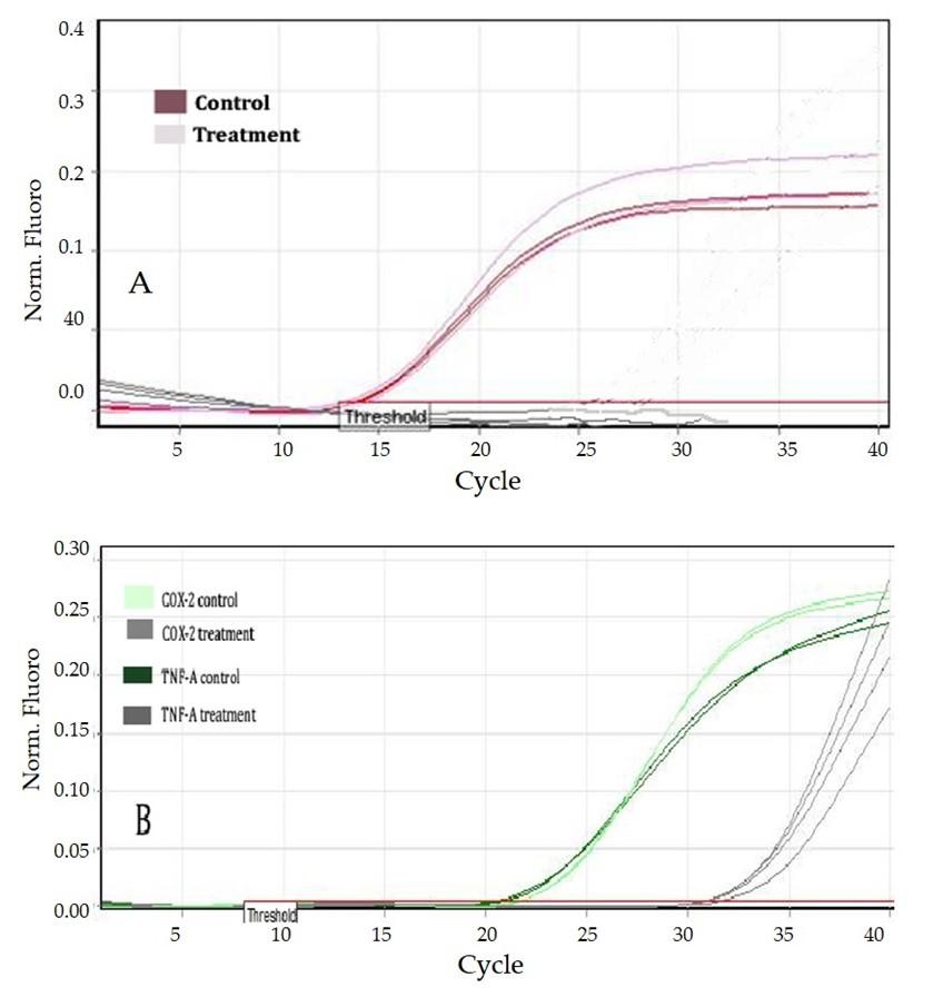 Molecular and immunological activity of Terminalia chebula extracts