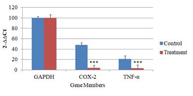 Molecular and immunological activity of Terminalia chebula extracts