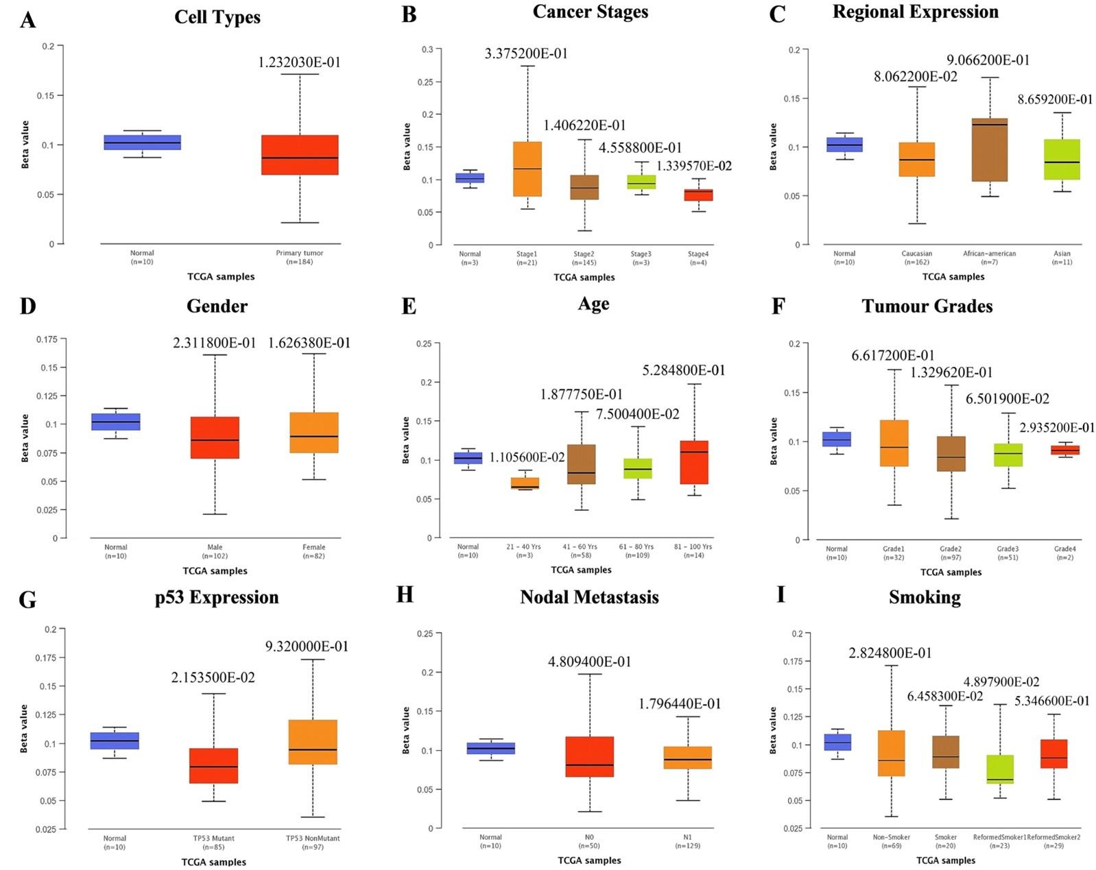 Serological and oncoinformatic analysis of HbA1c as a prognostic biomarker in screening the risks of different cancers among the male T2D patients of Bangladesh