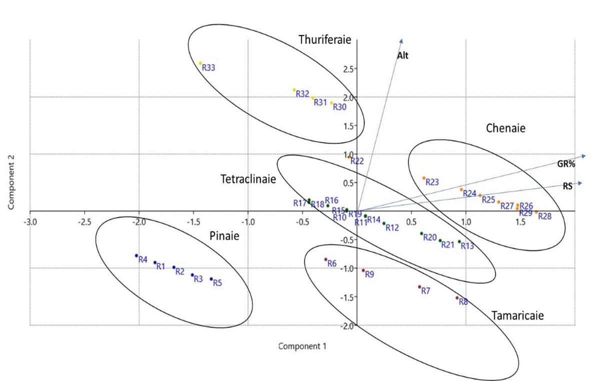 Analysis of floristic diversity of the forest ecosystems of the Zat valley- High Atlas of Morocco: Valorization and Conservation perspectives