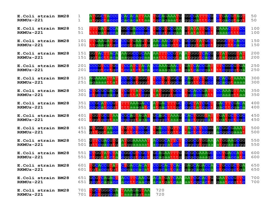 Cloning and expression of recombinant purine nucleoside phosphorylase in the methylotrophic yeast <span>Pichia pastoris</span>