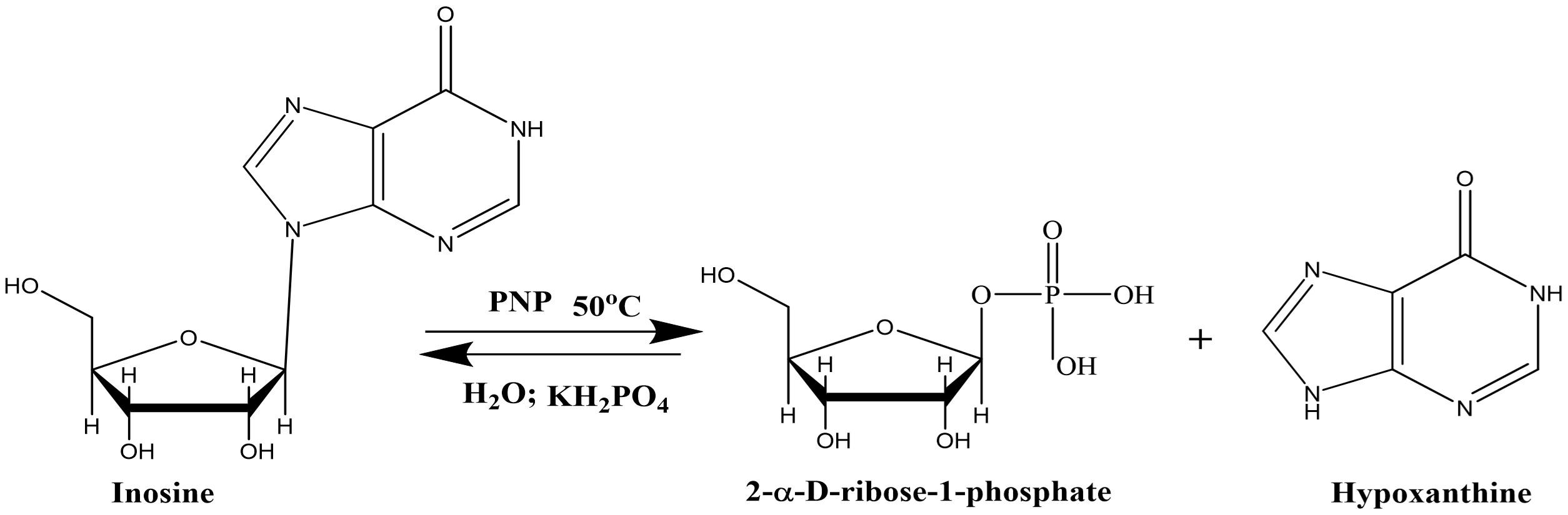 Cloning and expression of recombinant purine nucleoside phosphorylase in the methylotrophic yeast <span>Pichia pastoris</span>