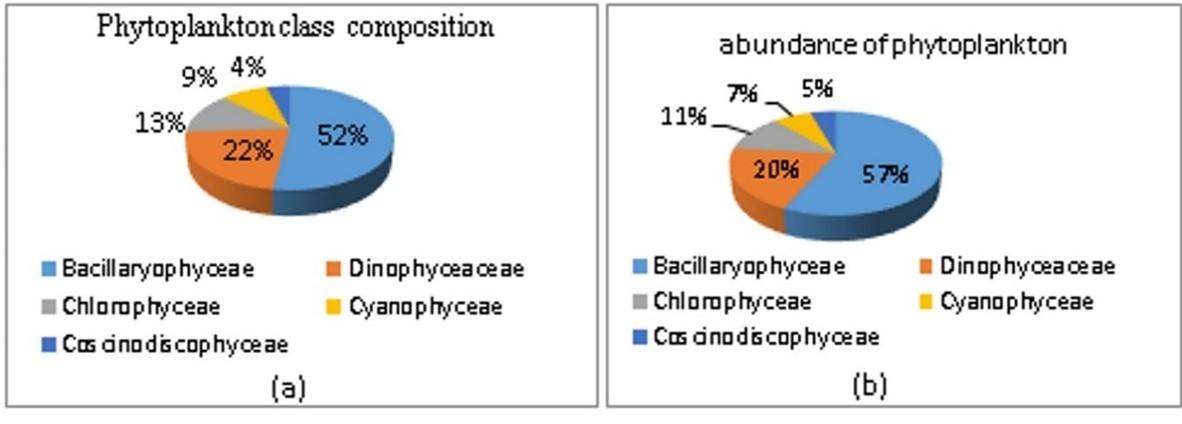 Spatial distribution of phytoplankton in Lasolo Bay of Southeast Sulawesi province, Indonesia