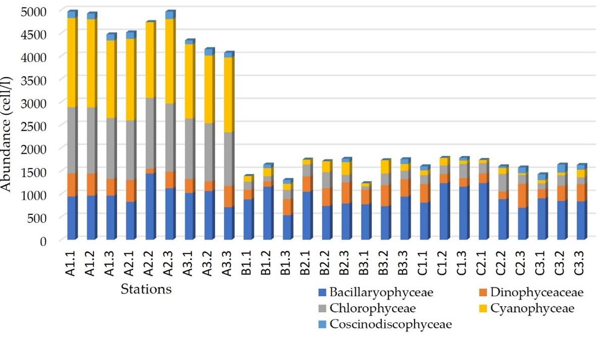 Spatial distribution of phytoplankton in Lasolo Bay of Southeast Sulawesi province, Indonesia