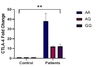 Impact of single nucleotide polymorphisms of immune checkpoint CTLA-4 (SNP rs231775 and rs5742909) in susceptibility to Hashimoto's thyroiditis patients