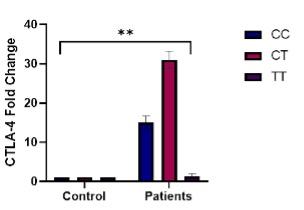 Impact of single nucleotide polymorphisms of immune checkpoint CTLA-4 (SNP rs231775 and rs5742909) in susceptibility to Hashimoto's thyroiditis patients