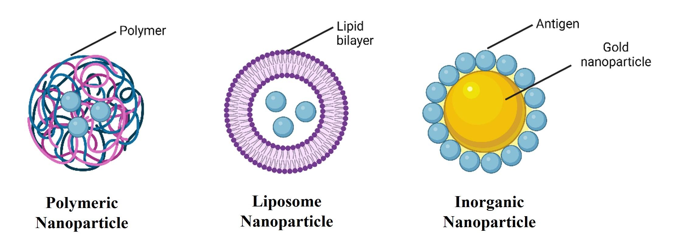 Recent advances in peptide-based nanovaccines for re-emerging and emerging infectious diseases