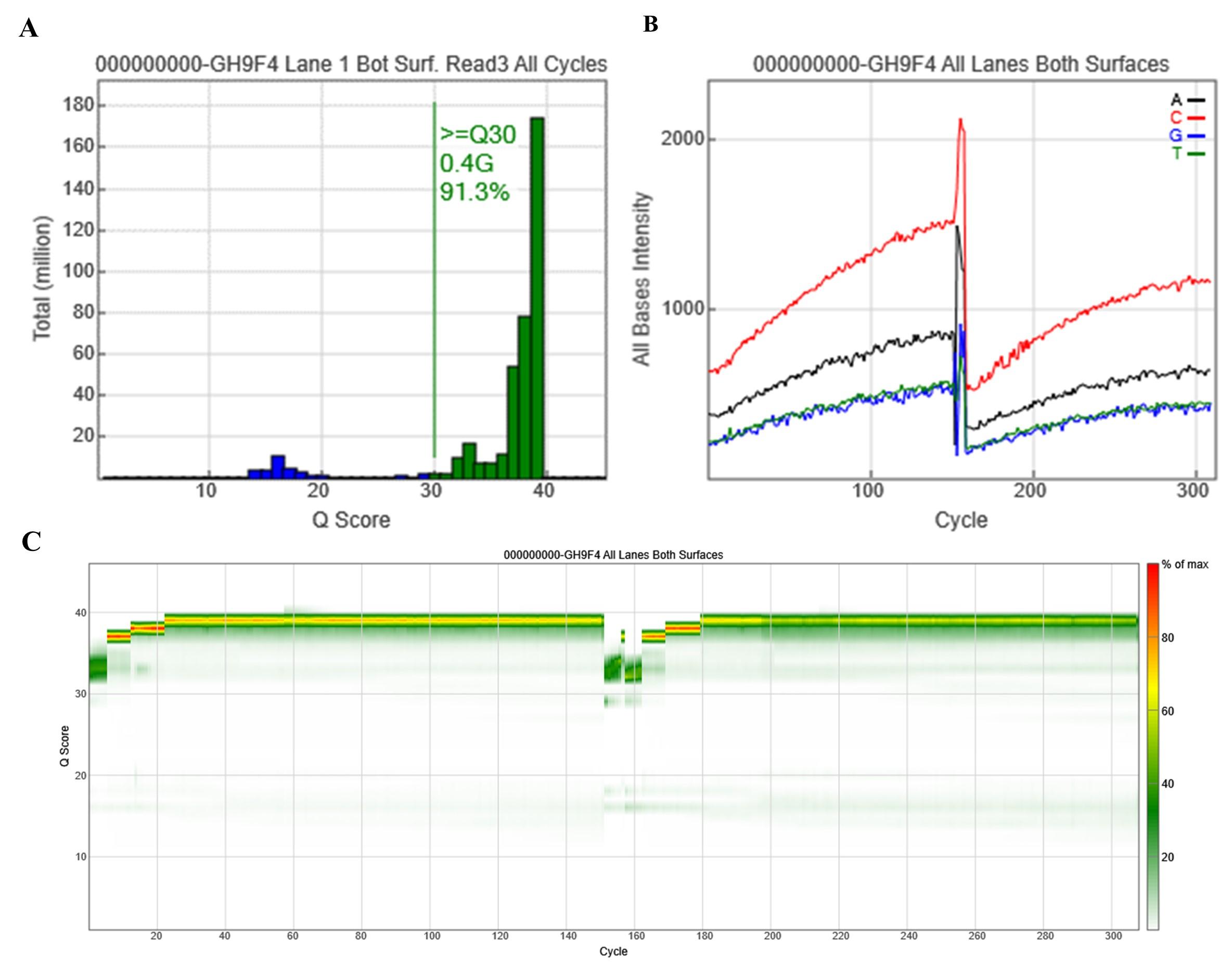 Next generation sequencing for the formalin-fixed paraffin-embedded samples of ovarian cancer in Vietnam