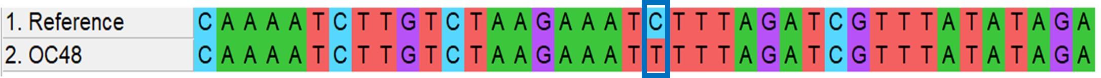 Next generation sequencing for the formalin-fixed paraffin-embedded samples of ovarian cancer in Vietnam