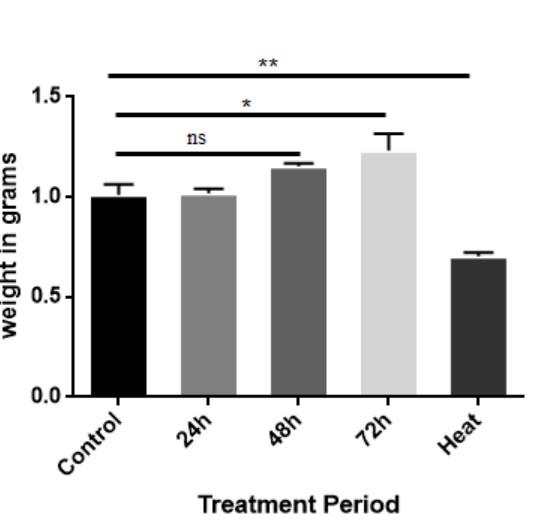 Influence of fruits and vegetables waste pre-treatment on black soldier fly larval growth