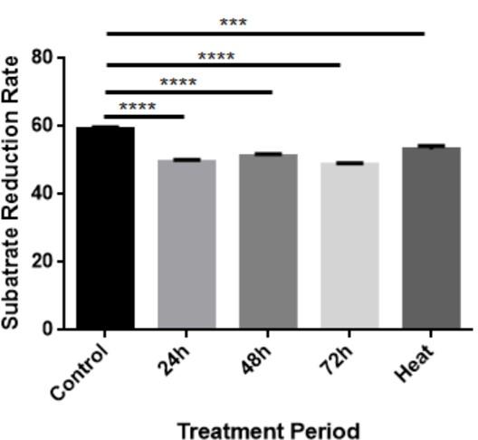 Influence of fruits and vegetables waste pre-treatment on black soldier fly larval growth