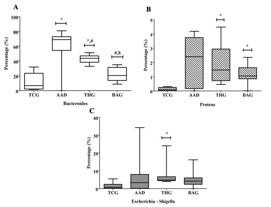 Beneficial effects of the multi-strain probiotic preparation BaciMix on antibiotic-associated diarrhea in rats