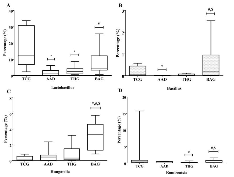 Beneficial effects of the multi-strain probiotic preparation BaciMix on antibiotic-associated diarrhea in rats