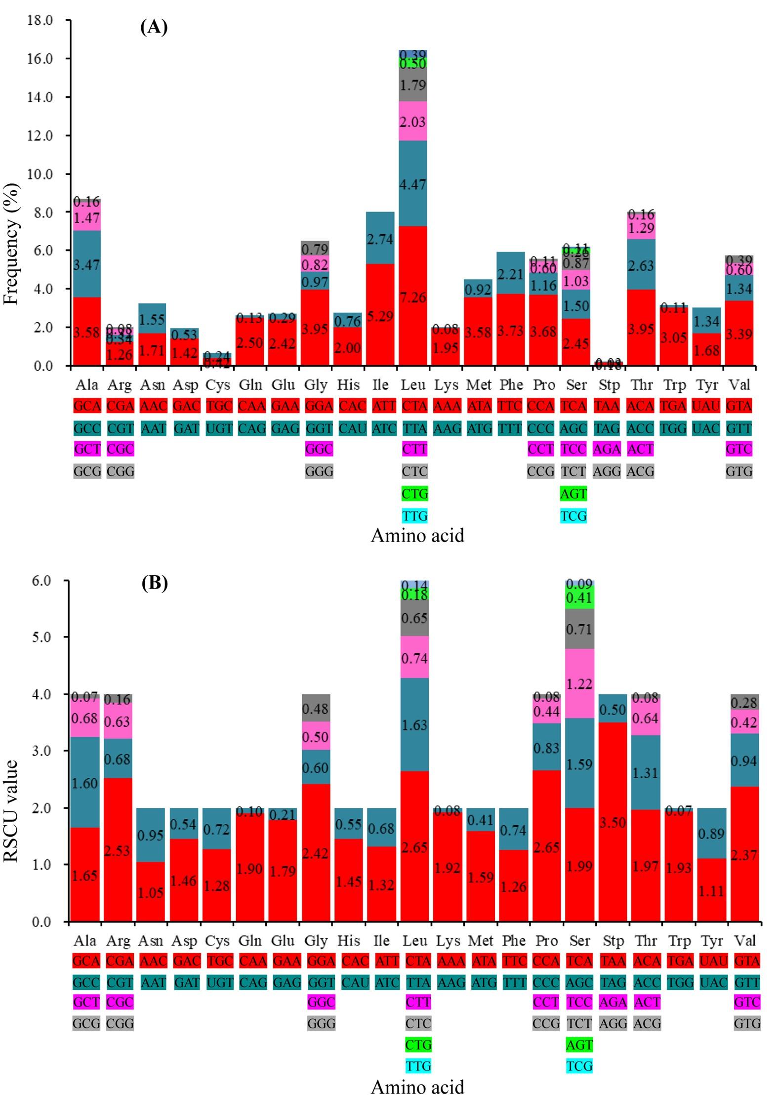 Codon usage bias and purifying selection identified in Cirrhinus reba mitogenome