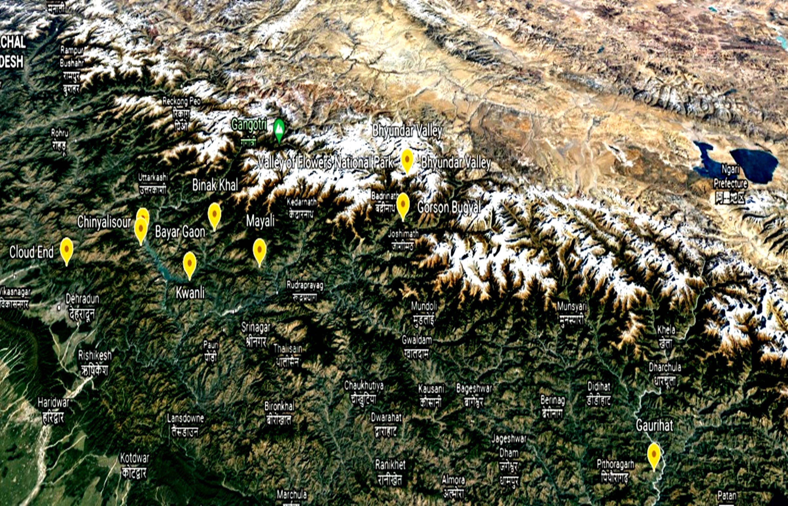 Antimicrobial and phytochemical screening of selected wild mushrooms naturally found in Garhwal Himalayan region, Uttarakhand, India