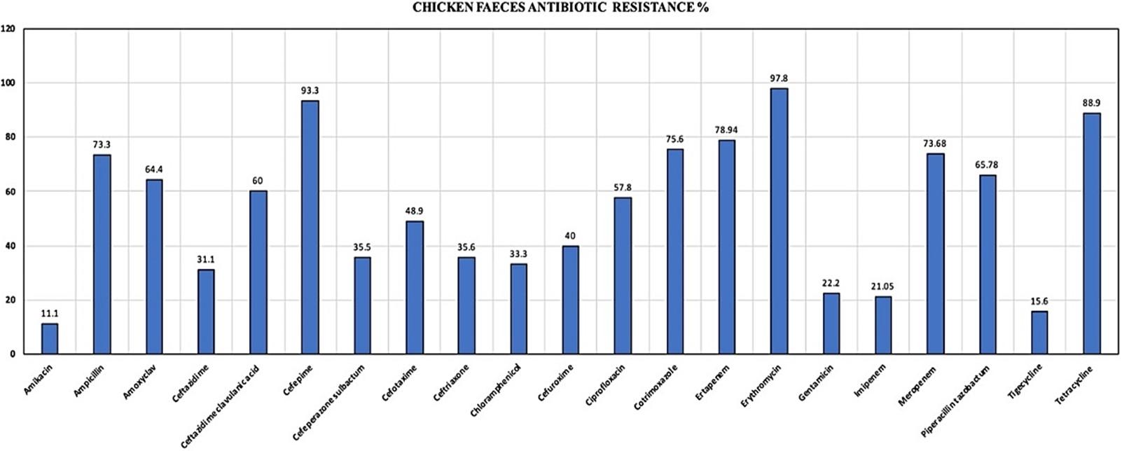 Characterization of virulence gene distribution and antibiotic susceptibility profiles of diarrheagenic Escherichia coli from chicken faeces