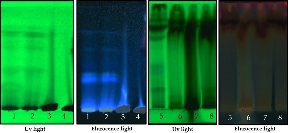 HPTLC fingerprinting analysis of phytoconstituents from Bixa orellana and Beta vulgaris plant pigment