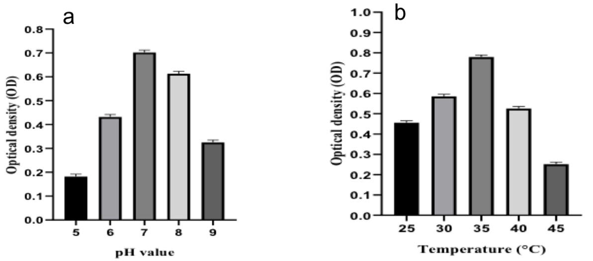 Efficacy of soil-borne Burkholderia Cepacia-like MB-01 strain for shobicron and vertimec degradation