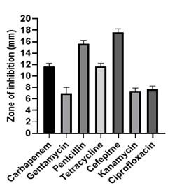 Efficacy of soil-borne Burkholderia Cepacia-like MB-01 strain for shobicron and vertimec degradation