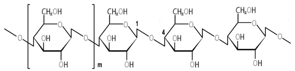Nata as a source of dietary fiber with numerous health benefits