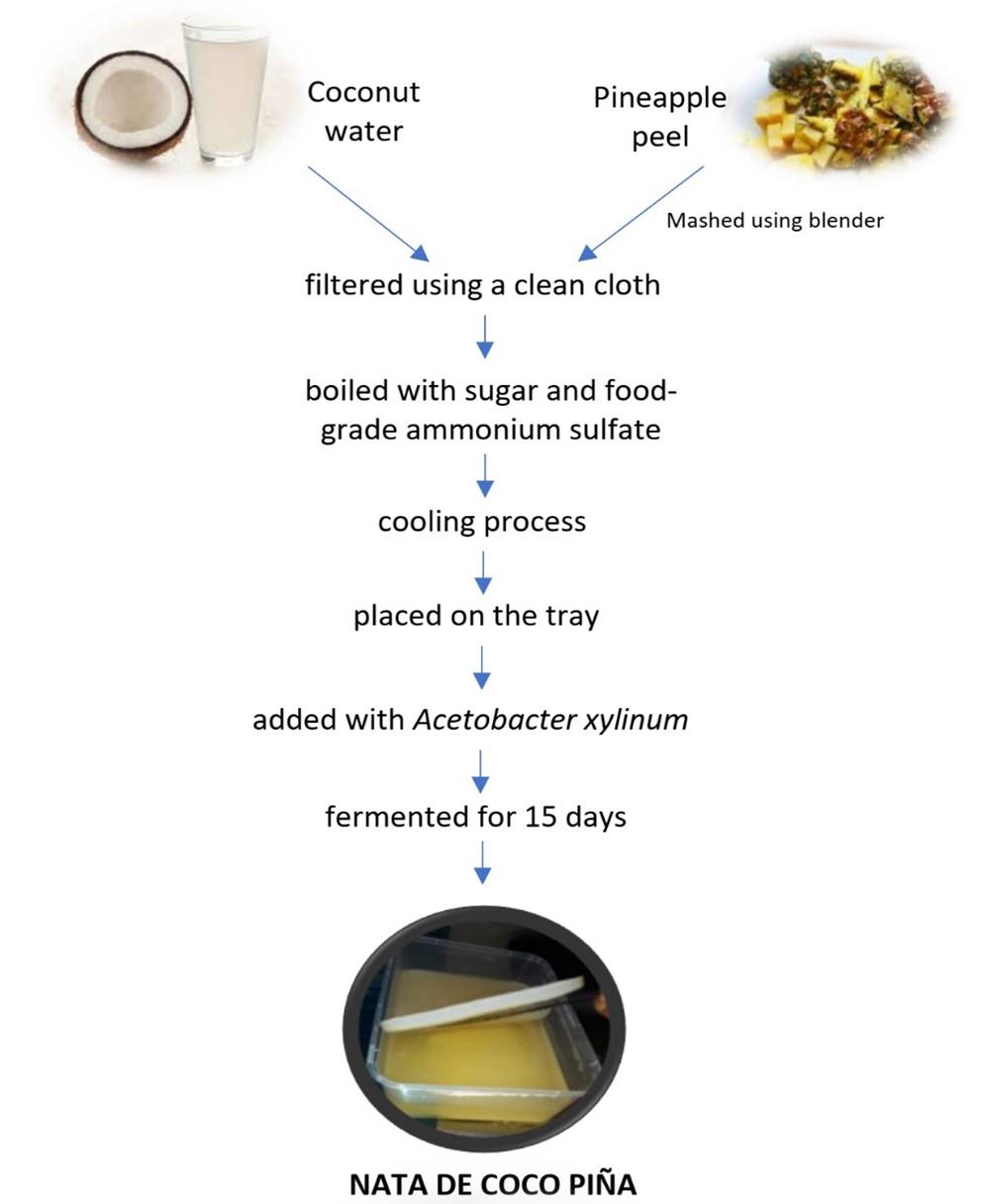 Nata as a source of dietary fiber with numerous health benefits