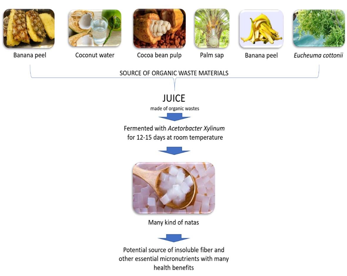 Nata as a source of dietary fiber with numerous health benefits