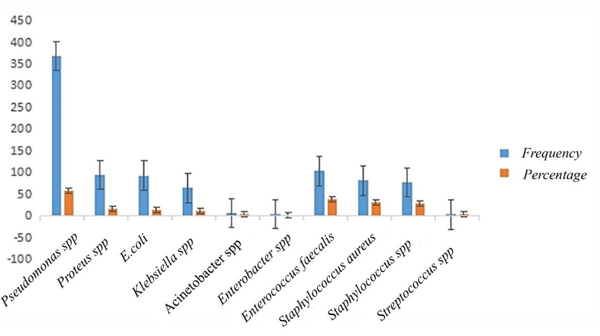 Determination of multi-drug resistance profile of isolated Gram-positive and Gram-negative bacteria from clinical pus samples in Bangladesh