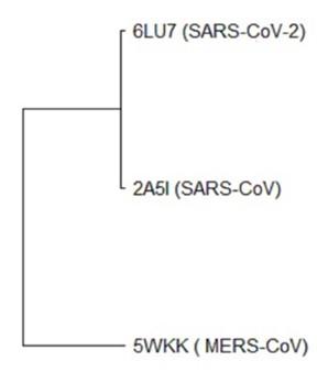 Prediction of SARS-CoV-2 main protease inhibitors in medicinal plant-derived compounds by molecular docking approach