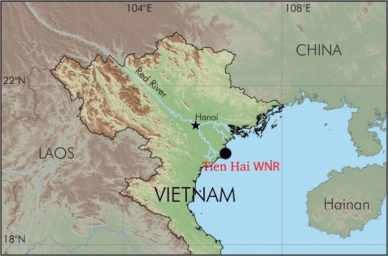 Biodiversity and composition of the herpetofauna from the Tien Hai Wetland Nature Reserve, North Vietnam