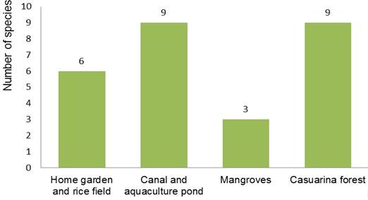 Biodiversity and composition of the herpetofauna from the Tien Hai Wetland Nature Reserve, North Vietnam