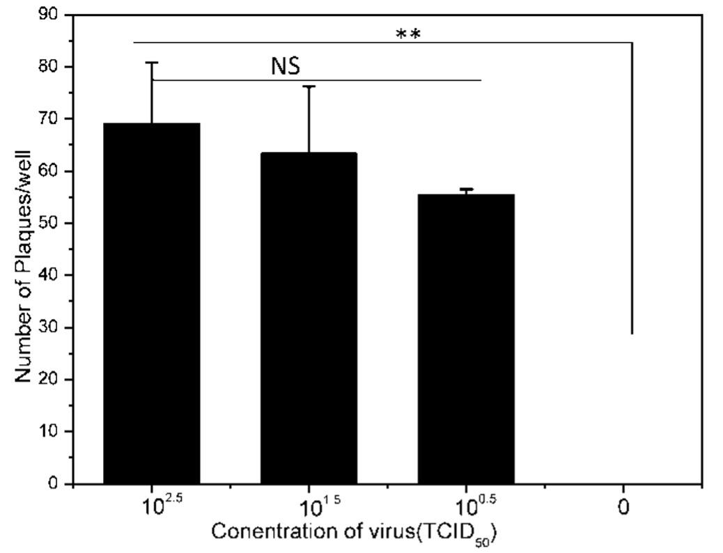 Spectrochemical characterization of Vero cell line against PPR virus infection