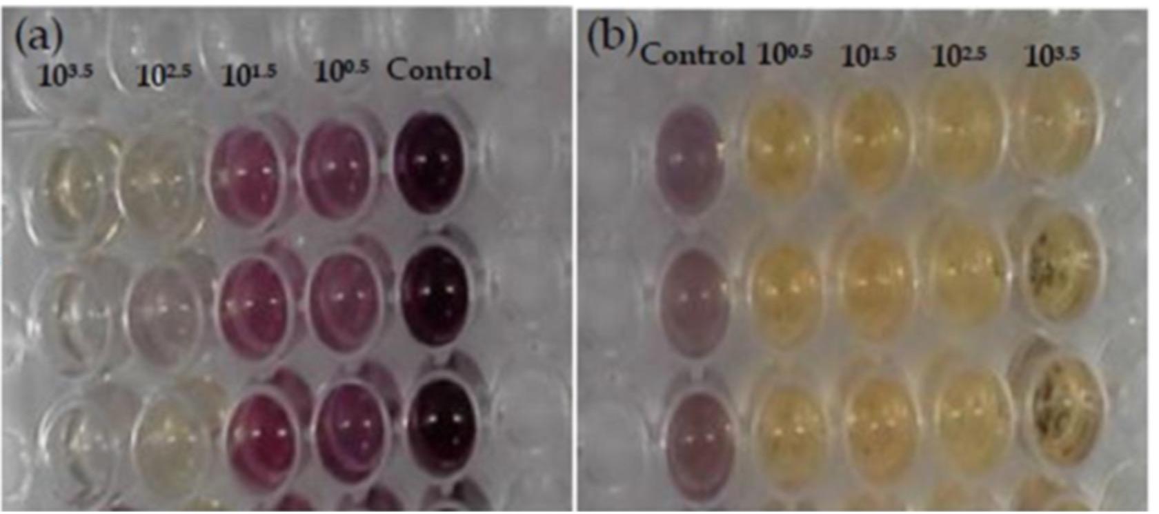 Spectrochemical characterization of Vero cell line against PPR virus infection