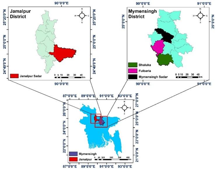 Detection of multidrug resistant Salmonella spp. from healthy and diseased broilers having potential public health significance
