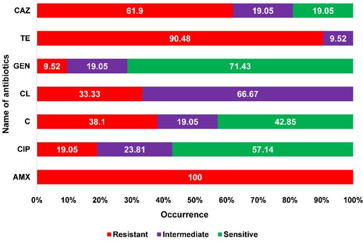 Detection of multidrug resistant Salmonella spp. from healthy and diseased broilers having potential public health significance