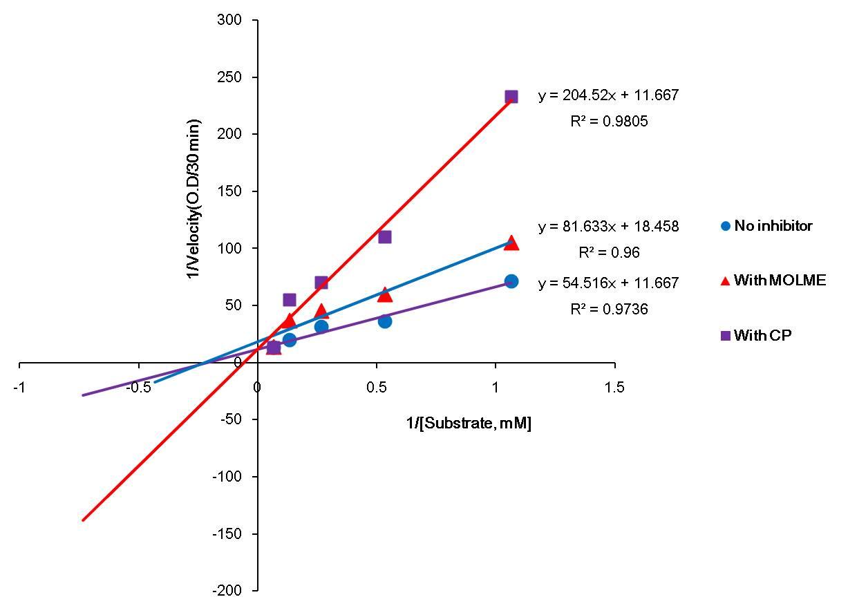 Moringa oleifera leaves methanolic extract inhibits angiotensin converting enzyme activity in vitro which ameliorates hypertension