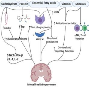 Management of mental health during COVID-19 pandemic: possible strategies