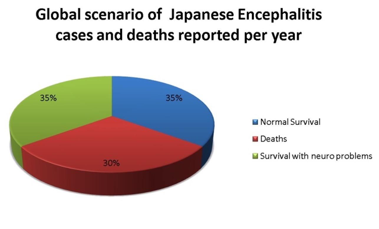A brief review on Japanese Encephalitis in Swine with its diagnostic strategies