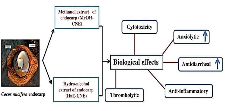 Pharmacological effect of methanolic and hydro-alcoholic extract of Coconut endocarp