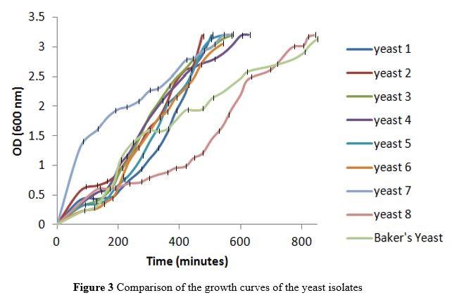 Isolation and characterization of osmophilic fermentative yeasts from Bangladeshi honeys