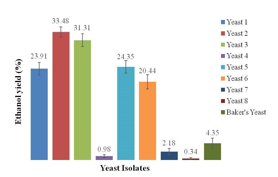 Isolation and characterization of osmophilic fermentative yeasts from Bangladeshi honeys