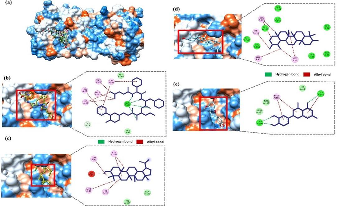 Identification of potential SARS-CoV-2 main protease inhibitors from Ficus Carica Latex: An in-silico approach